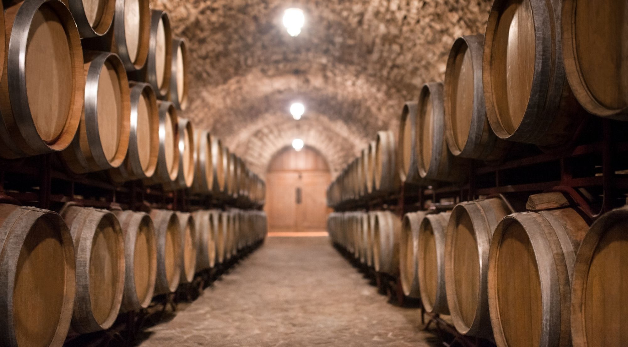 Long arched stone tunnel lined with oak barrels in a Chianti cellar